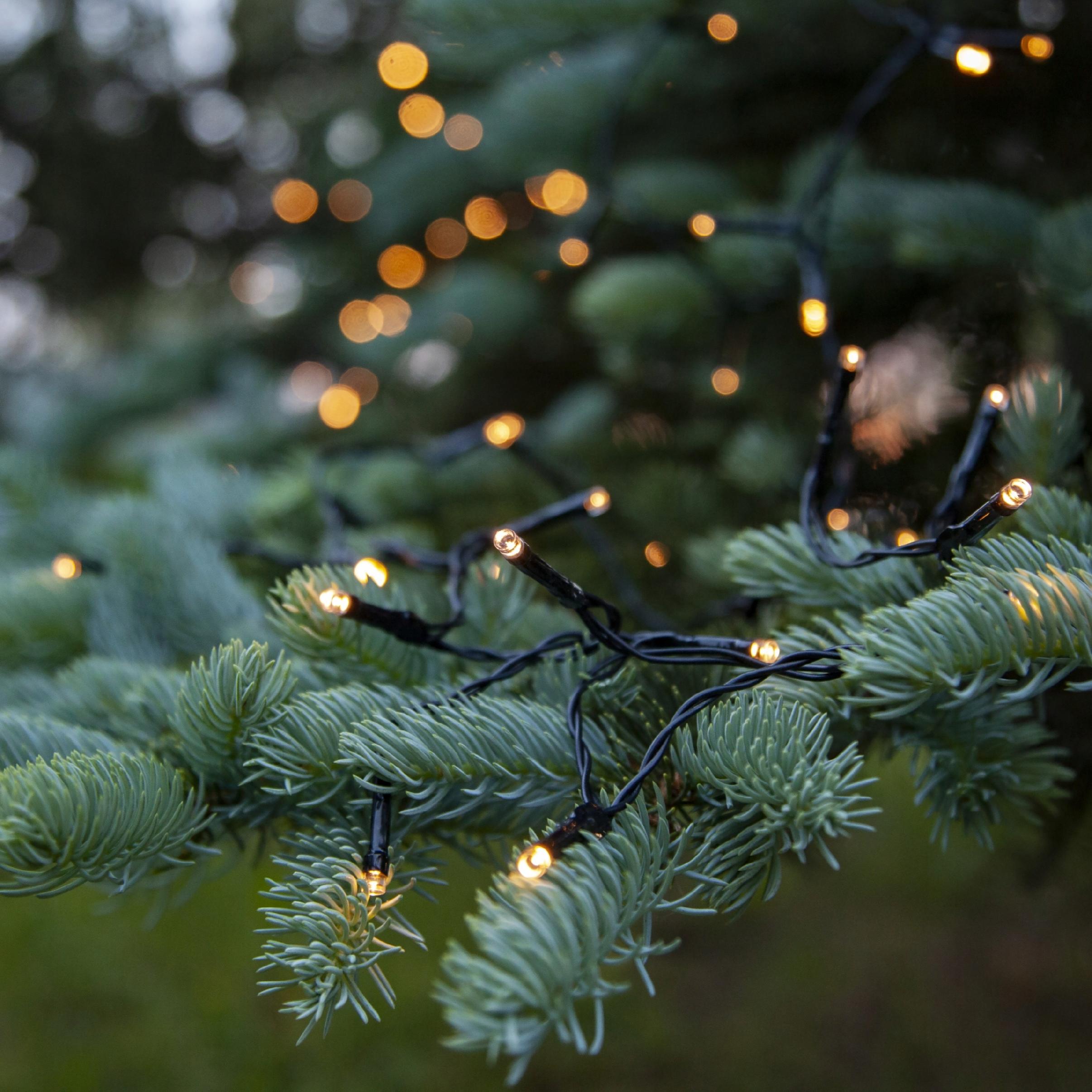Lampki Choinkowe na baterie LED 20 Białe Ciepłe 2 m, Timer - obrazek 4